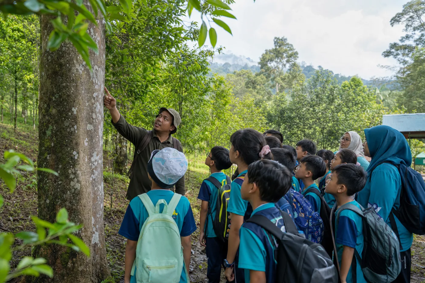 Students learning about agarwood trees in Gopeng